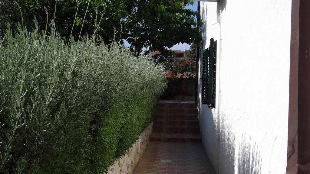 Apartments Milka تروغير المظهر الخارجي الصورة